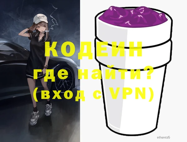 индика Дмитриев
