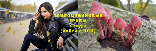 мескалин Алексин