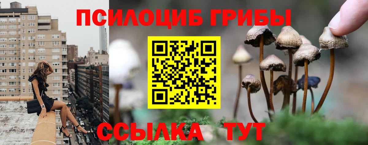Галлюциногенные грибы ЛСД Чистополь